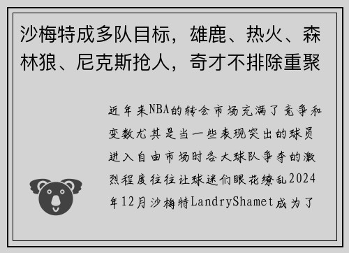 沙梅特成多队目标，雄鹿、热火、森林狼、尼克斯抢人，奇才不排除重聚