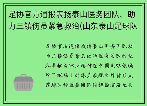 足协官方通报表扬泰山医务团队，助力三镇伤员紧急救治(山东泰山足球队人员名单)